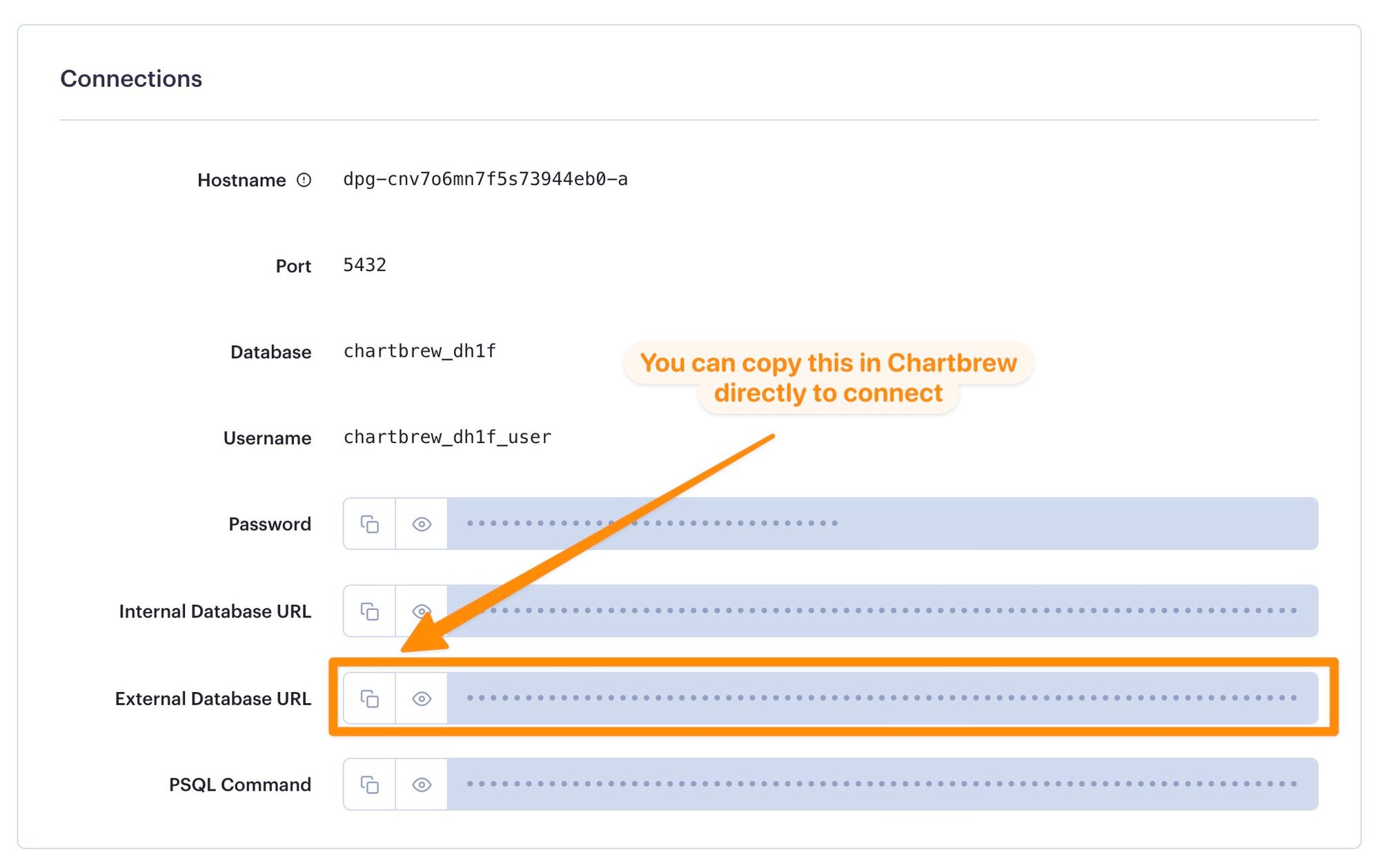 Render postgres connection options